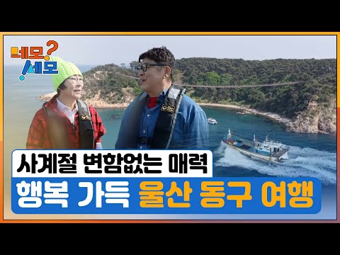 [네모세모] 울산 동구 한 바퀴