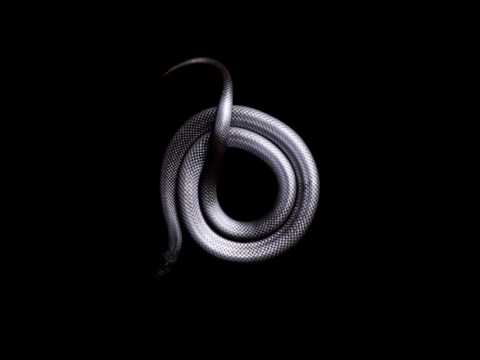 Kodeisko - Anaconda (Original Mix)