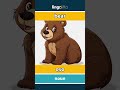 bear - oso video thumbnail