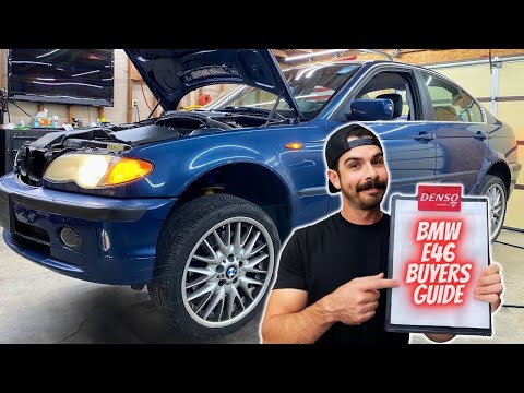 BMW E46 BUYERS GUIDE! What To Look For & Why!