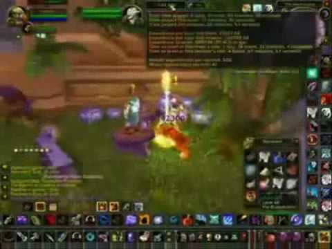 Level 1 To 80 In Record Time!