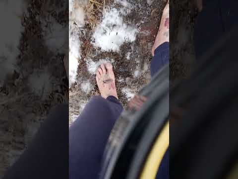 The 👣 snow shoveler in action, 03/09/2023, part two