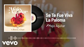 Se Te Fue Viva La Paloma Music Video
