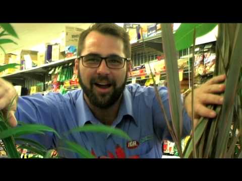 Welcome to Murray Bridge Network | Sponsors | September 2018