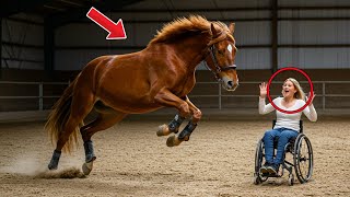 Millionaire husband planned for a wild horse to hurt his disabled wife, but the twist shocked all!