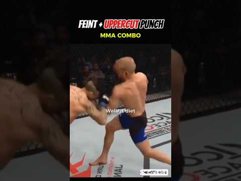 Feint + Uppercut Punch Boxing Combo tutorial for Beginners #boxing #mma #martialarts #shorts