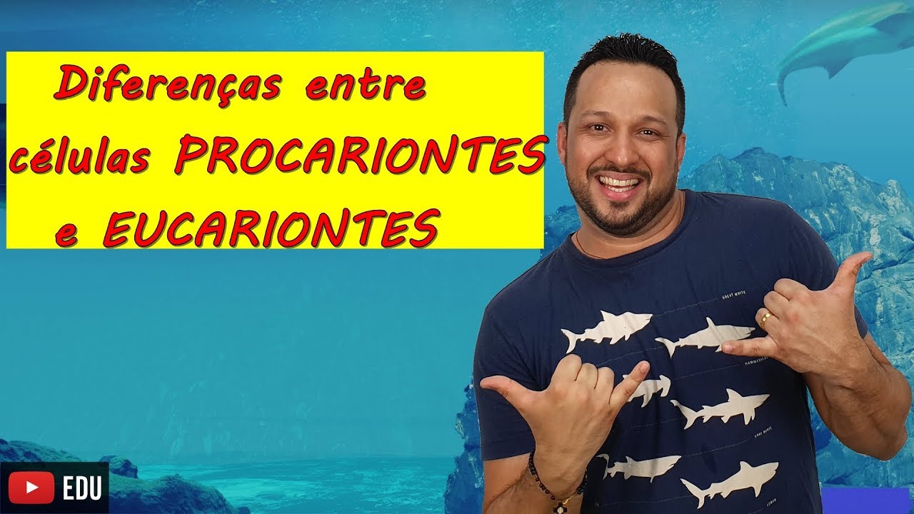 Diferenças entre células PROCARIONTES e EUCARIONTES - Biologia com o Tubarão