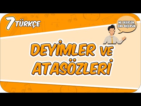 Deyimler ve Atasözleri 📙 7TURK5 #2026