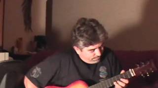 the acoustic dobro effect.wmv