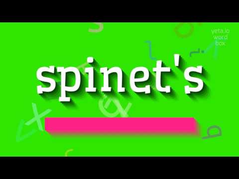 HOW TO PRONOUNCE SPINET'S?