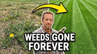 Permanently Eliminate Weeds Without Breaking the Bank