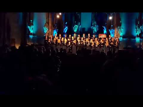 LSMU Akademinis choras Neris - Tykus, tykus