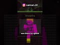 a secret structure has been found in Minecraft