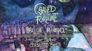 Video Saved By The Fortune - Blue Rhino