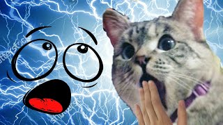 Sailing The S.S Bloxade! ( GONE WRONG ) ( OH MY GOSH ) (ALMOST GOT HURT) ( NOT CLICKBAIT ) !!