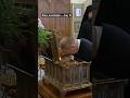 Russia S Putin Visits Azerbaijani Cathedral During Baku Visit