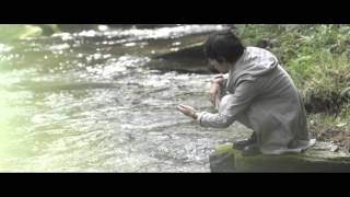 堂珍嘉邦 - hummingbird (Official Video)