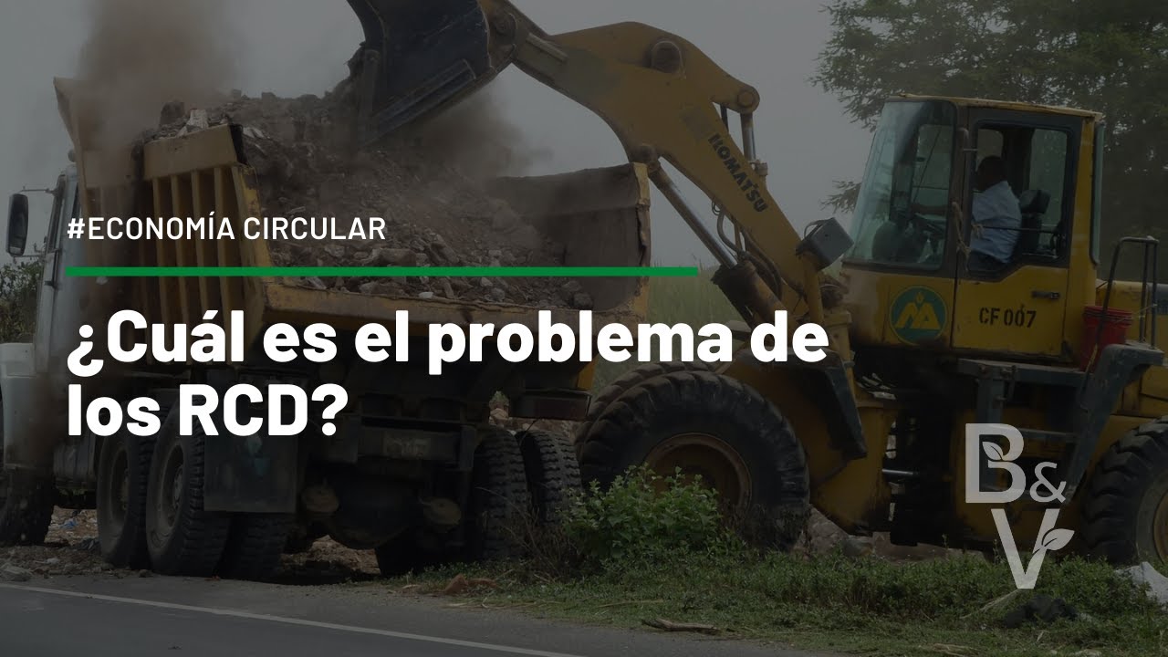 ¿CUÁL ES EL PROBLEMA DE LOS RCD?