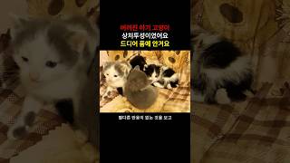 유튜브 썸네일