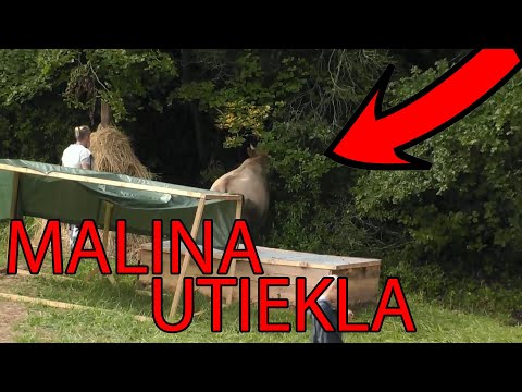 Farma 13 - E18 Malina utiekla do lesa a Zdenek si vybral druhého duelanta  SK