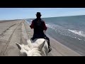 Reitferien In Der Camargue Mit Den Pferden Vom Mas Du Sapin