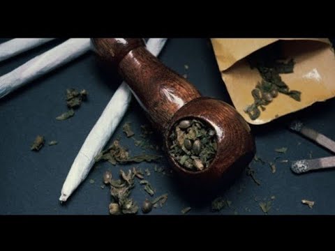 LA MOTA VOY A FUMAR - MC BUFFALO (VIDEO OFICIAL) Rap Malandro