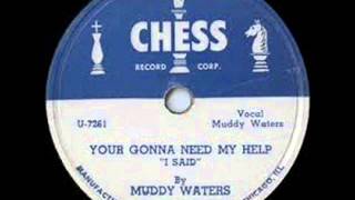 Muddy Waters &amp; Little Walter,You&#39;re Gonna Need My Help I said