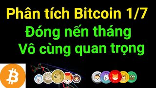Phân tích bitcoin altcoin hôm nay ngày 1/7 cập nhật thị trường crypto mới nhất hôm nay