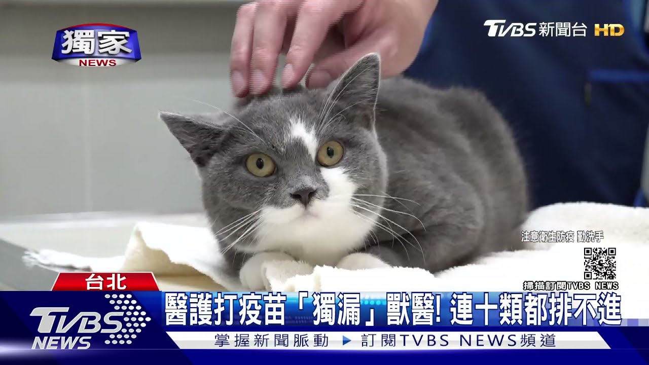 醫護打疫苗「獨漏」獸醫!連十類都排不進