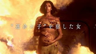 Trailer Preview Image