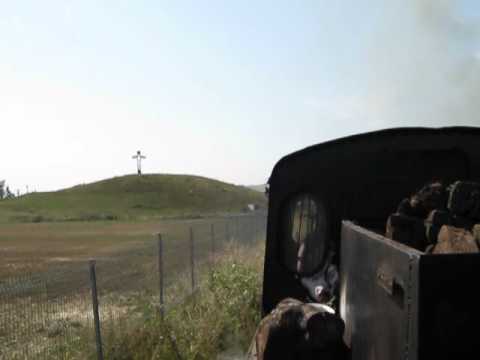 mocanita la Raciu - Crucea Eroilor - MVI_0364.avi