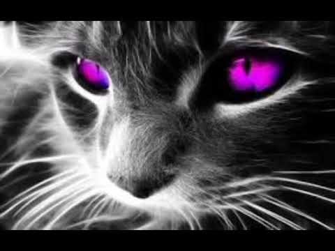 Harddope protocleus edpranz - Abcdefu (popular tik tok)