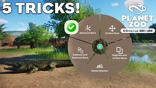 5 THINGS you NEED to know in Planet Zoo Console Edition!