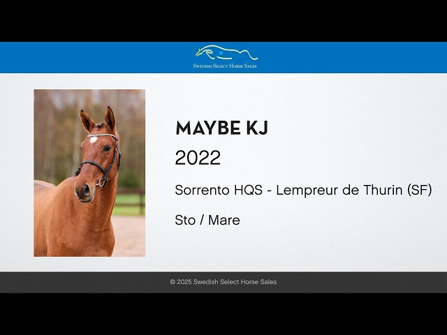 Maybe KJ - Free jumping