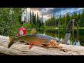 SOLO Hiking Mountain Trout Fishing Catch Cook Movie