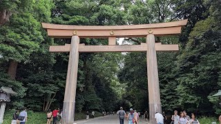 Meiji Jingu Temple - Full Walk from Harajuku Station to the Shrine
