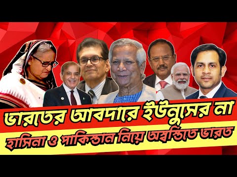 ভারতের আবদারে ইউনুসের না!! হাসিনা ও পাকিস্তান নিয়ে অস্বস্তিতে ভারত #NewYorkVoiceBangla #NazmulHasan