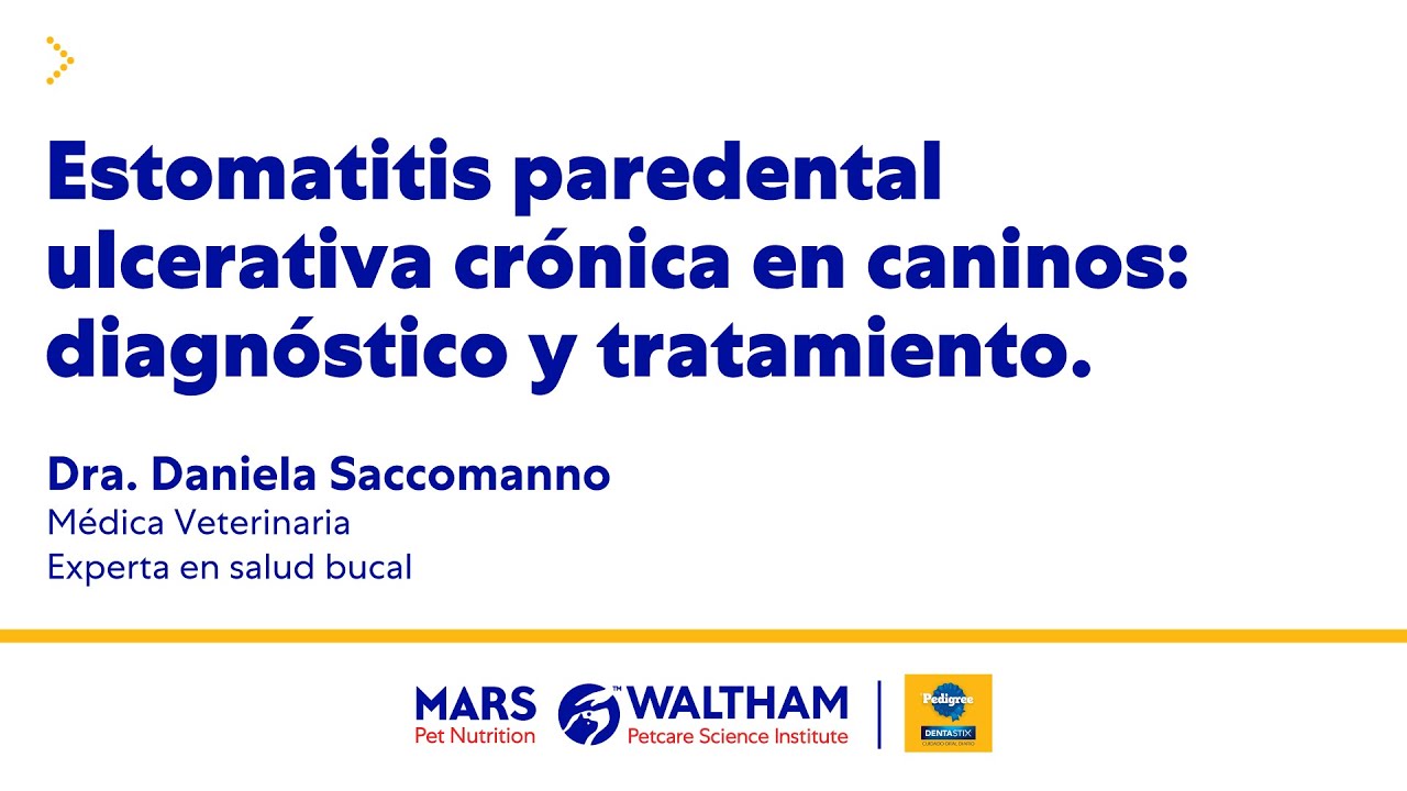 Capacitación de ESTOMATITIS PAREDENTAL ULCERATIVA CRÓNICA EN CANINOS