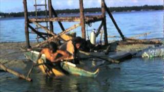 Download lagu Jimmy and His Mermaid ( Trailer) mp3