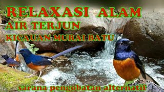 Download lagu MASTERAN MURAI BATU DAN SUARA AIR TERJUN MEMBUAT BURUNG DAN PEMILIKNYA SEGER ABIS DAN ANTI DEPRESI mp3 Download lagu MASTERAN MURAI BATU DAN SUARA AIR TERJUN MEMBUAT BURUNG DAN PEMILIKNYA SEGER ABIS DAN ANTI DEPRESI mp3