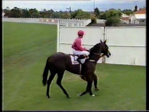 1991 Canterbury Guineas