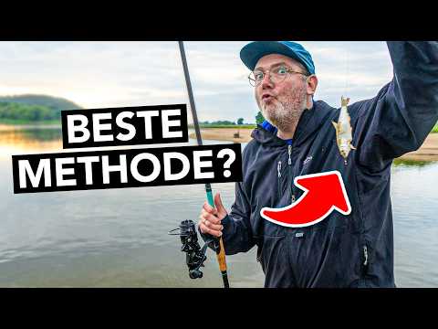So fängst du Zander mit Köderfisch am Fluss! 🎣