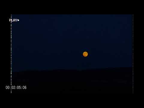 Zalim İstanbul - Seni Asla Bırakmayacağım / Gitar Versiyonu ( slowed + reverb )