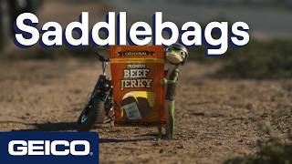 Geico 🐎 “Saddlebags” / “GEICO Rides You”
