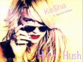 Ke$ha - Hush Hush (Dancefloor) ft. Bonnie ...