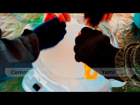 WBO Beyblade Tournament Battle: Common Pickle vs Yami - Geist Town #BeybladeBurst