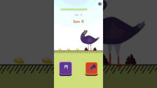 Trash Dove Headbanging Crazy Bird Complete Game video preview
