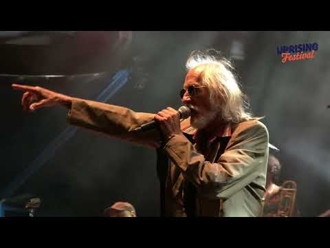 WICKED DUB DIVISION meets NORTH EAST SKA JAZZ ORCHESTRA - Live at Uprising Festival 2024