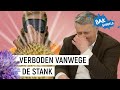 CHALLENGE: PROEVEN ZONDER TE KIJKEN | Bakbabbels #3 | Heel Holland Bakt Kids | NPO Zapp