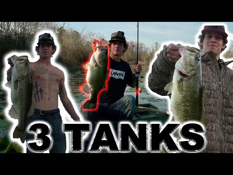 Chasing Wallhangers episode 2